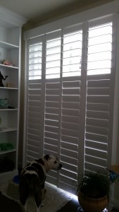 Front view of custom shutters on a large sliding glass door and dog
